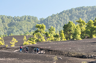 Panorama-Touren Mountainbike Tagestouren