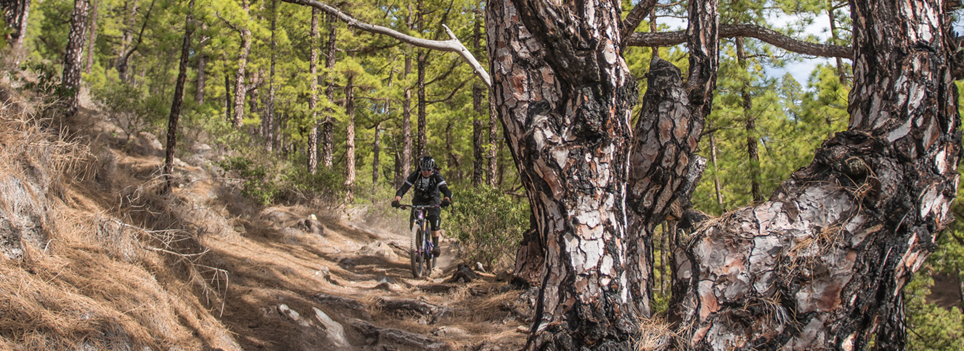 Mountainbike Touren La Palma Tourtypen