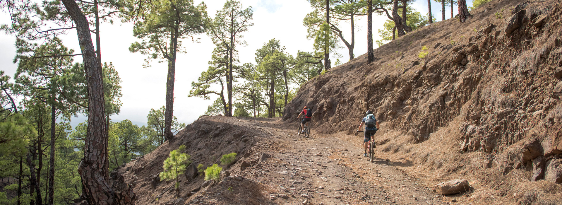 Allmountain Tourwoche