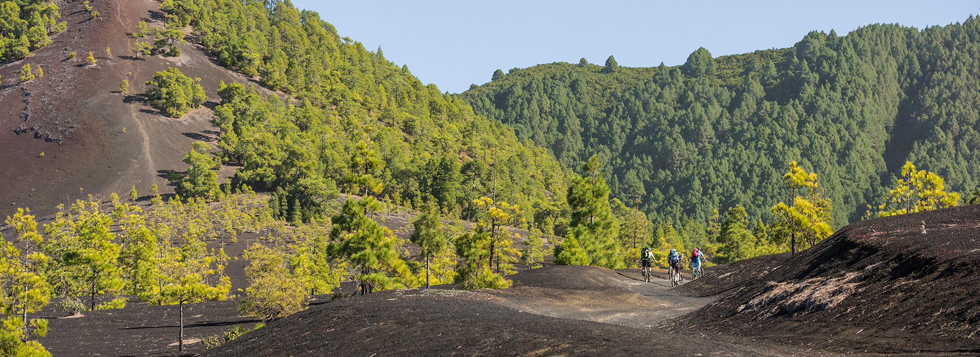 Panorama Eventwochen