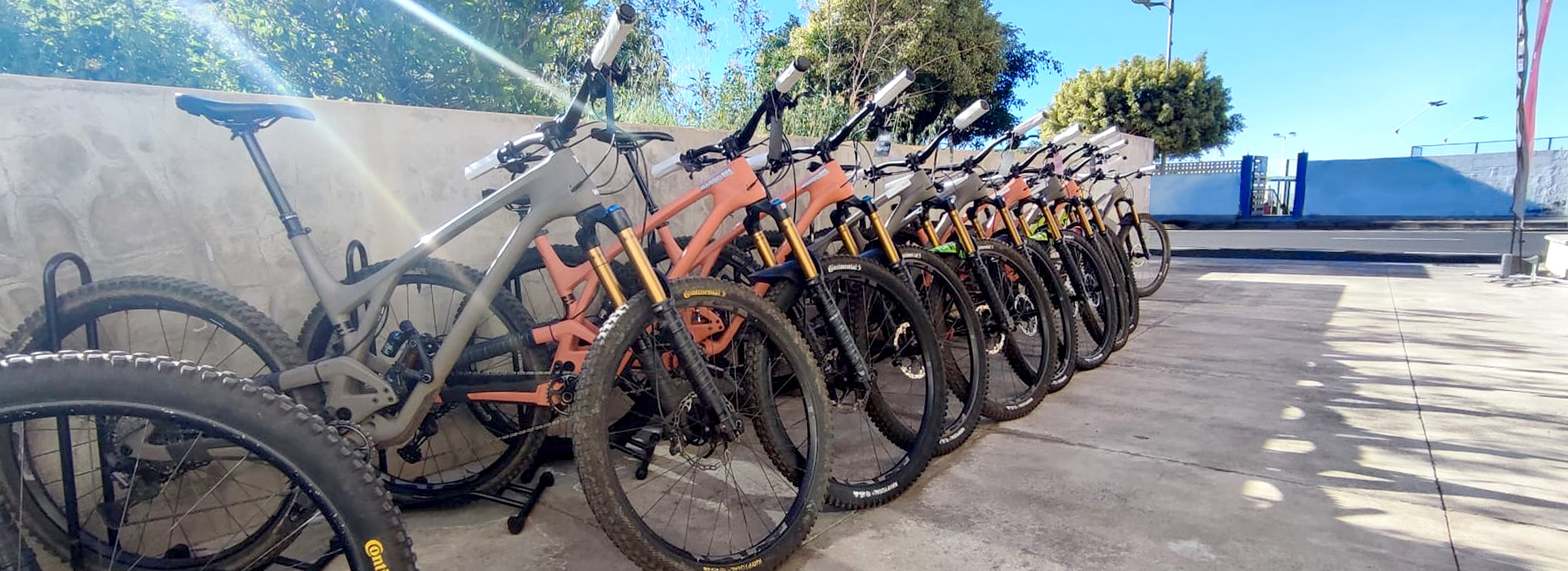 Mountainbike Rental Verleih La Palma Kanaren Los Llanos de Aridane